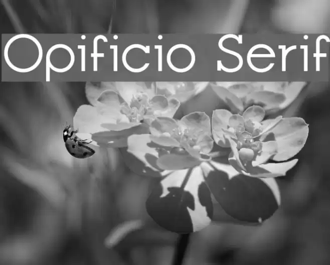 Opificio Serif Caratteri examples