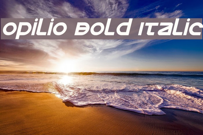 Opilio Bold Italic Example 1