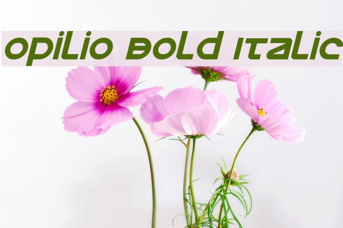 Opilio Bold Italic Example 2