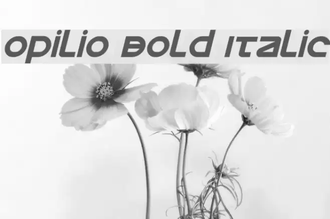 Opilio Bold Italic Font examples