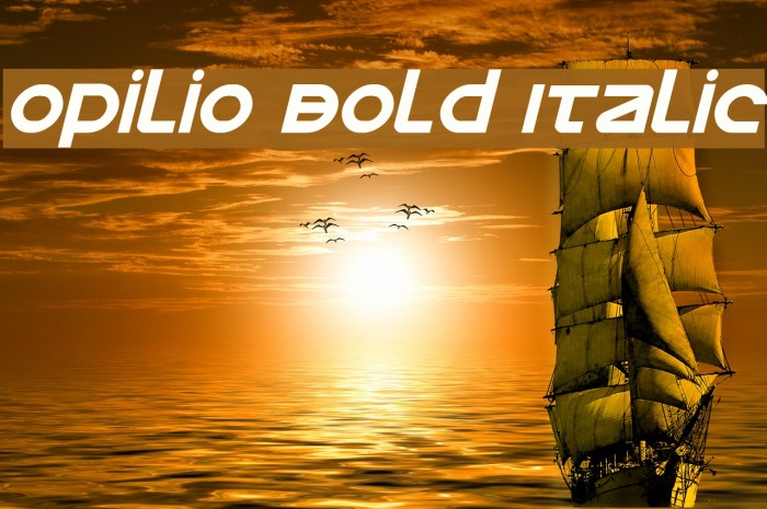 Opilio Bold Italic Example 3