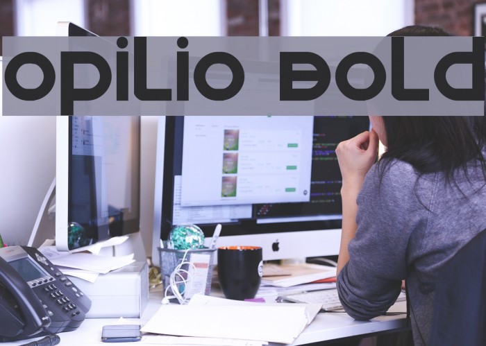 Opilio Bold Example 1