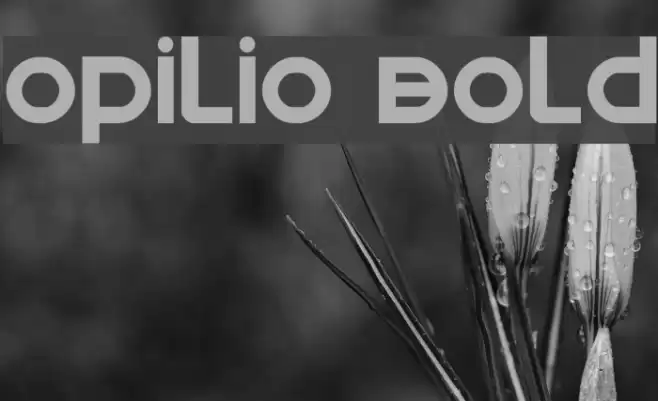 Opilio Bold Font examples