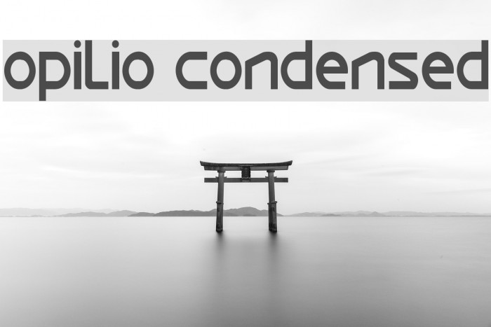 Opilio Condensed Font examples