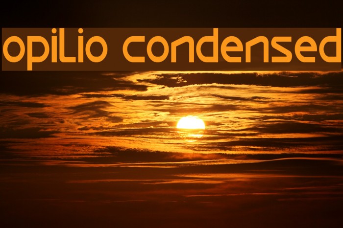 Opilio Condensed Font examples