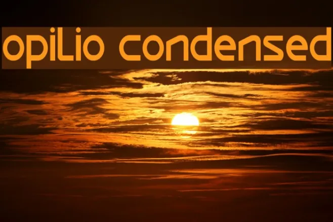 Opilio Condensed Example 2