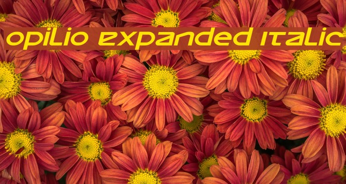 Opilio Expanded Italic Font examples
