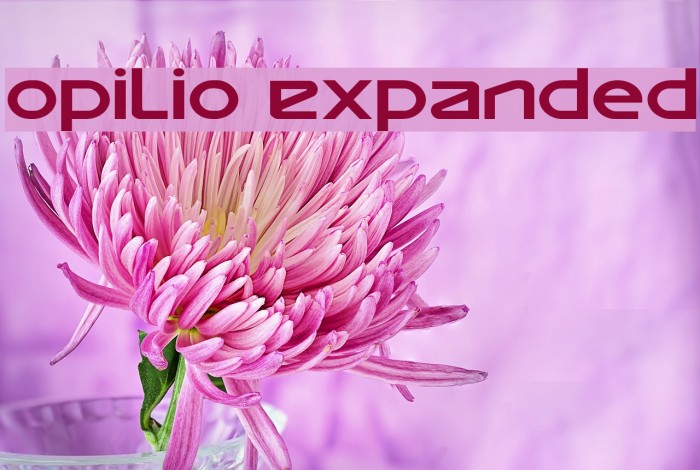 Opilio Expanded Font examples