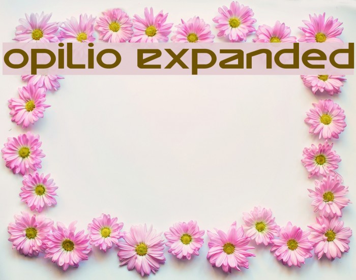 Opilio Expanded Font examples