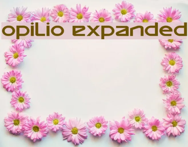 Opilio Expanded Example 3