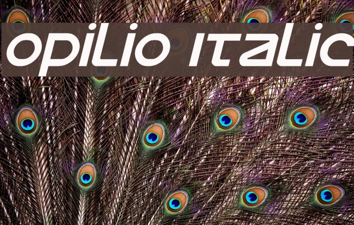 Opilio Italic Font examples