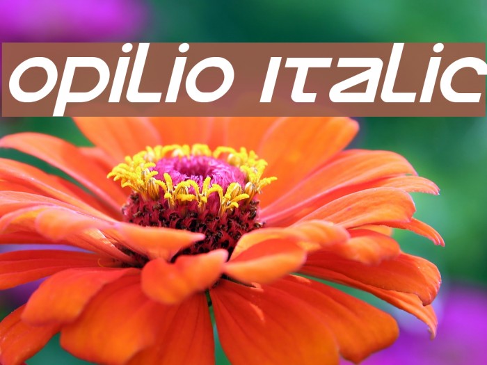 Opilio Italic Font examples