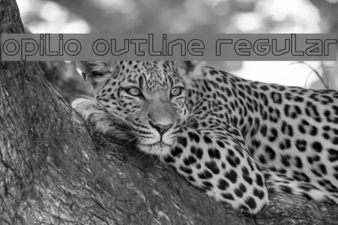 Opilio Outline Regular Font examples