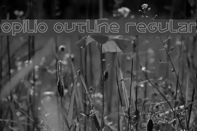 Opilio Outline Regular Font examples