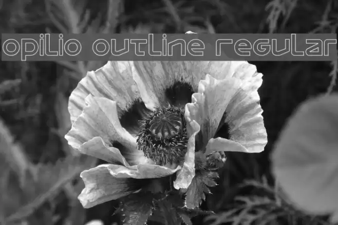 Opilio Outline Regular Font examples