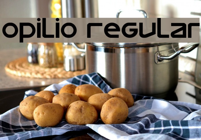 Opilio Regular Font examples