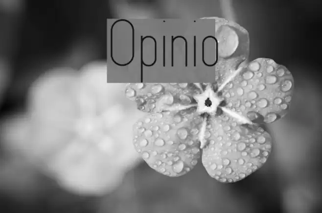 Opinio Font examples