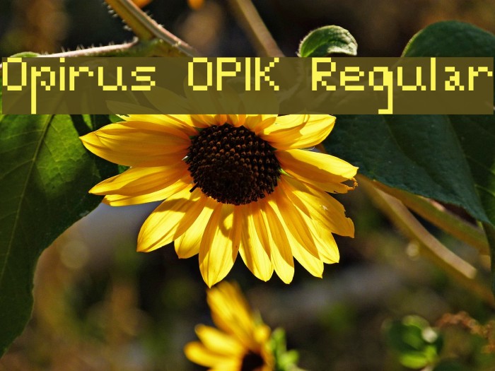 Opirus OPIK Regular Font examples