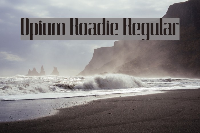 Opium Roadie Regular Font examples