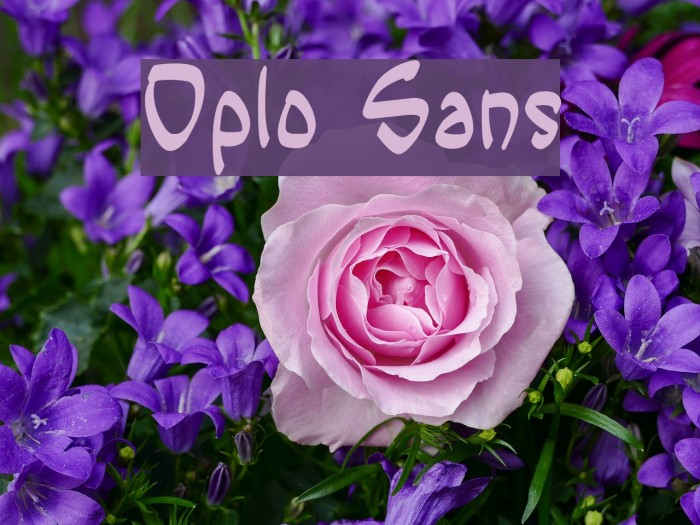Oplo Sans Example 2
