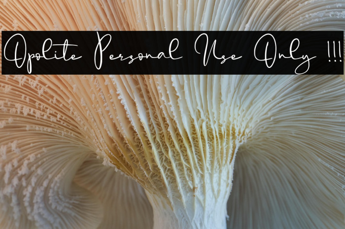 Opolite Personal Use Only !!! Example 3