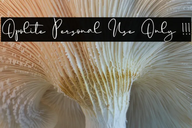 Opolite Personal Use Only !!! Example 3