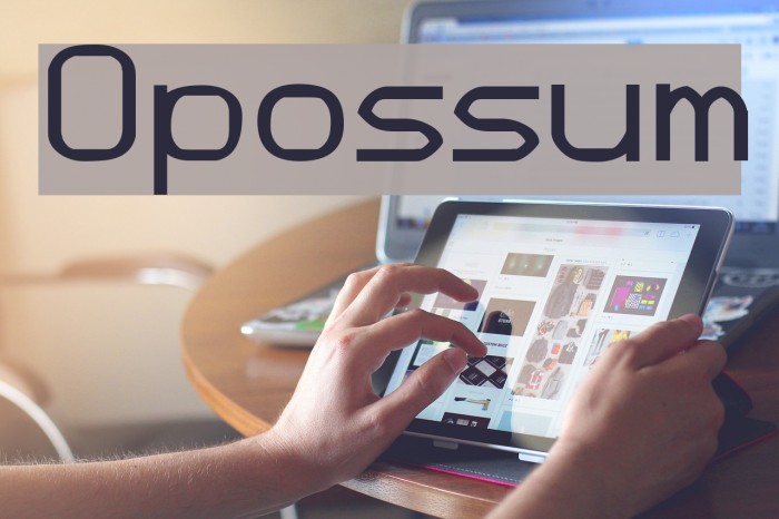 Opossum Font examples