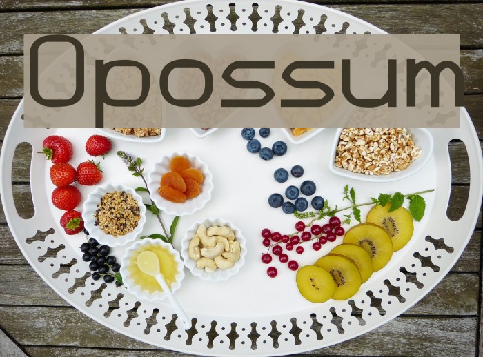 Opossum Font examples