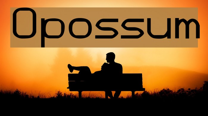 Opossum Font examples