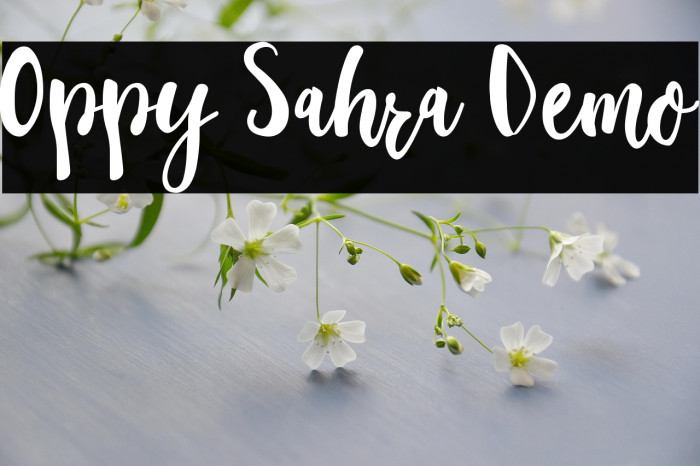 Oppy Sahra Demo Example 2