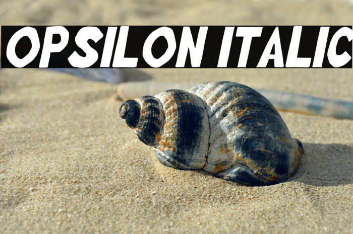 Opsilon Italic Example 2