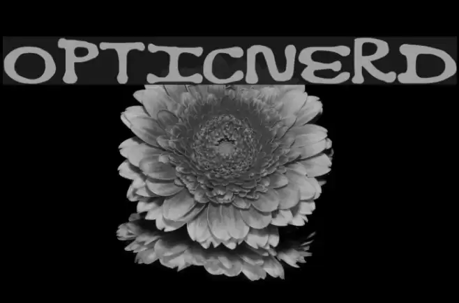 OpticNerd Font examples