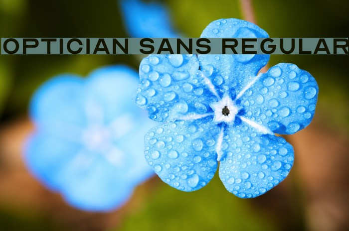 Optician Sans Regular Font examples
