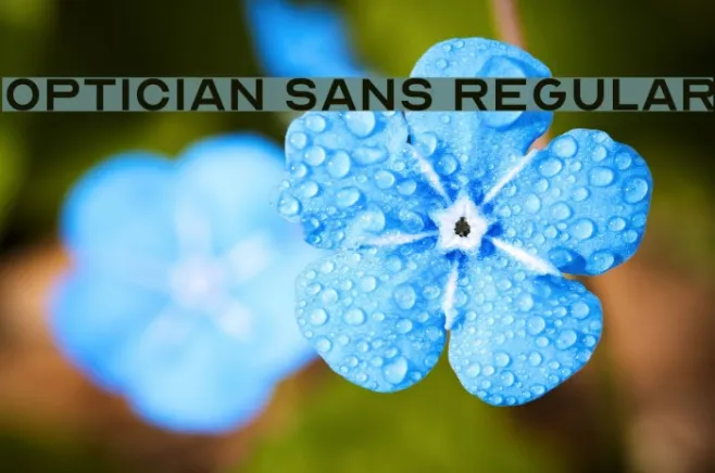 Optician Sans Regular Example 2