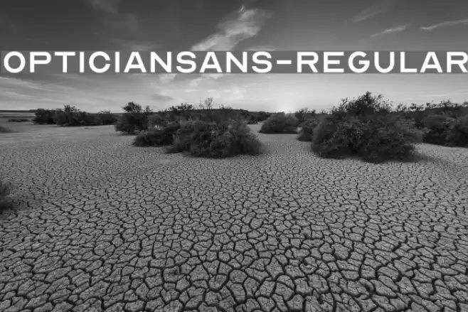OpticianSans-Regular Font examples
