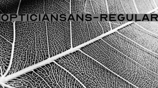 OpticianSans-Regular Font examples