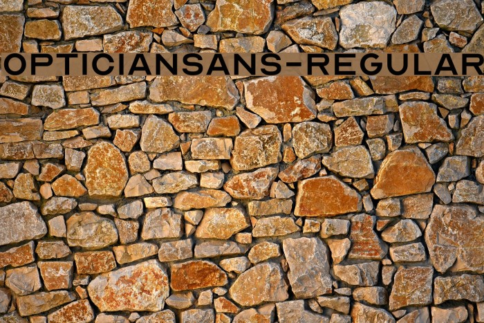 OpticianSans-Regular Font examples