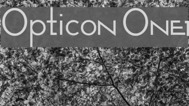 Opticon One1 Caratteri examples