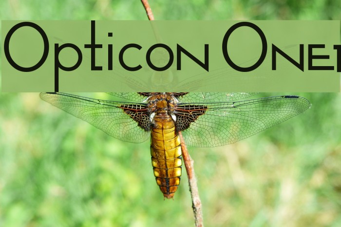 Opticon One1 Font examples