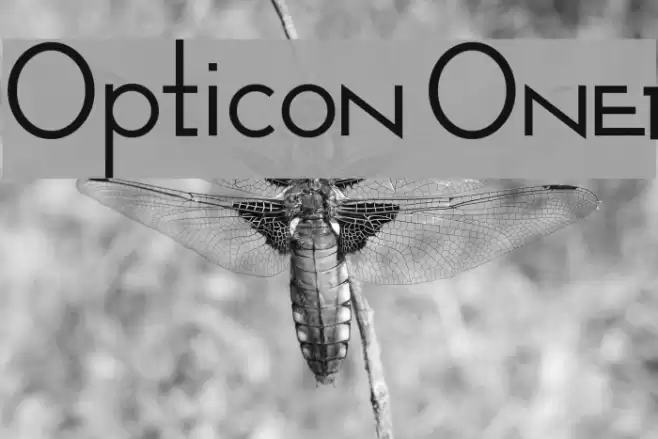 Opticon One1 Caratteri examples