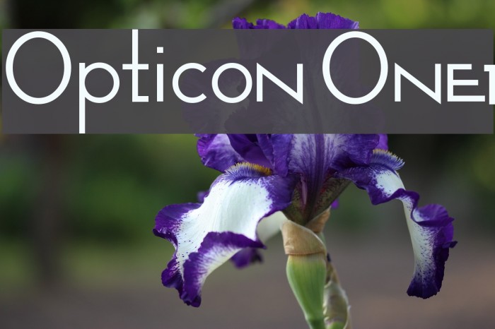 Opticon One1 Font examples