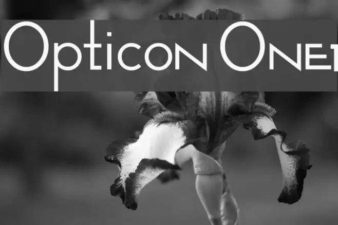 Opticon One1 Caratteri examples