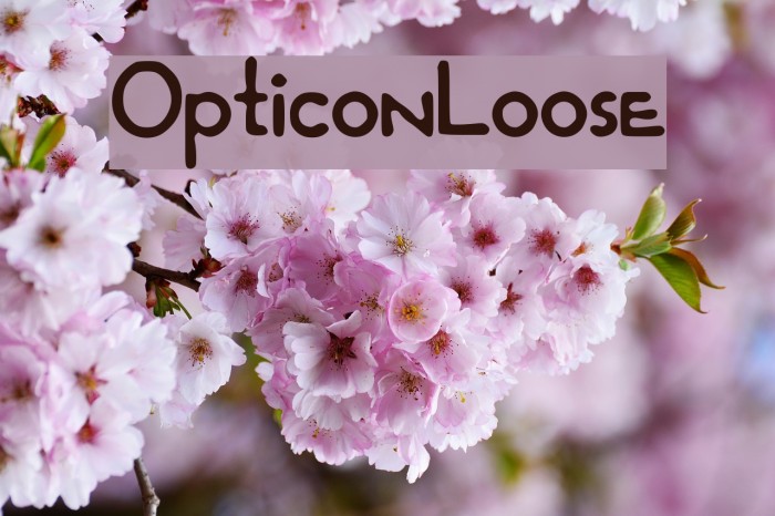 OpticonLoose Font examples