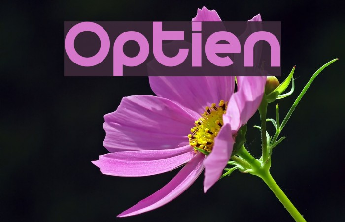 Optien Font examples
