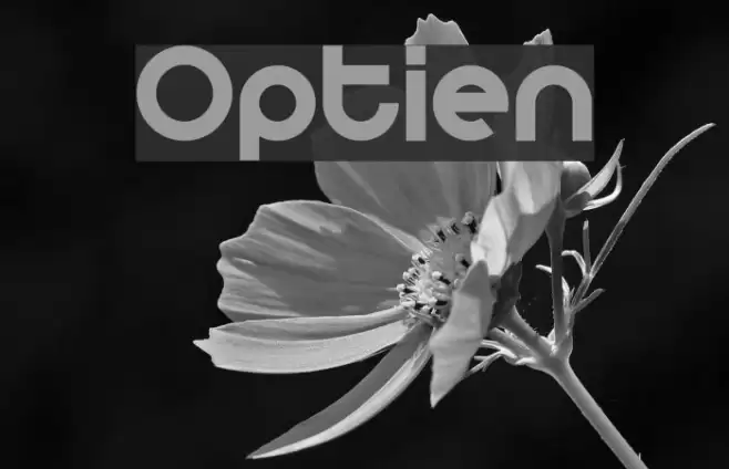 Optien フォント examples