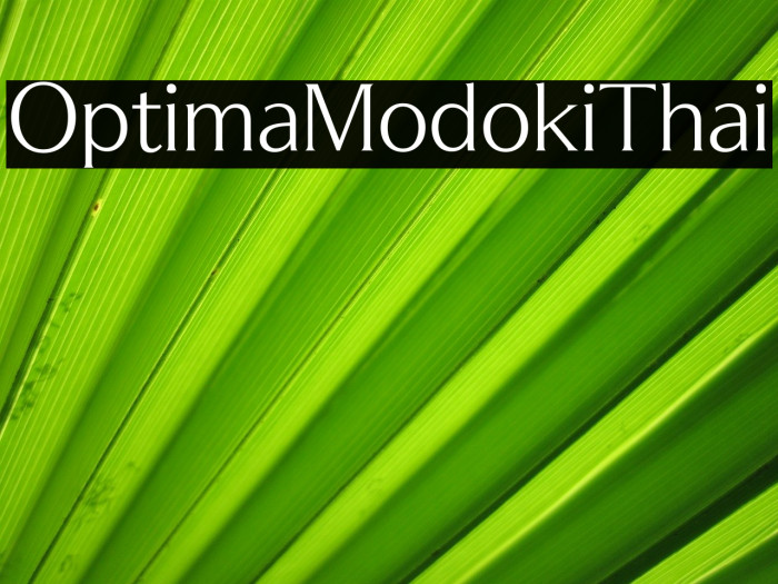 OptimaModokiThai Font examples