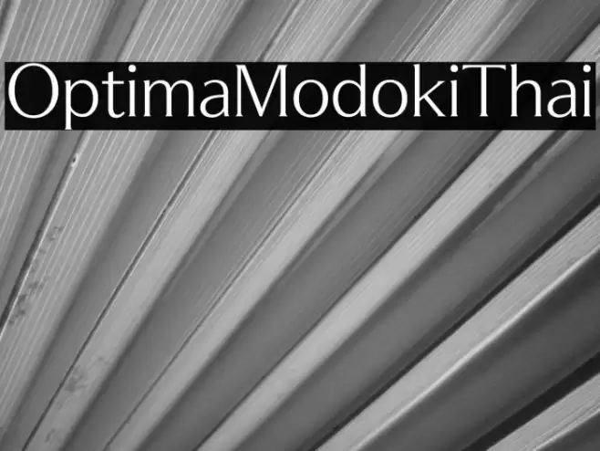 OptimaModokiThai Font examples