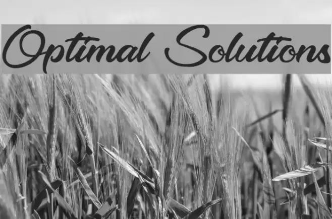 Optimal Solutions Font examples