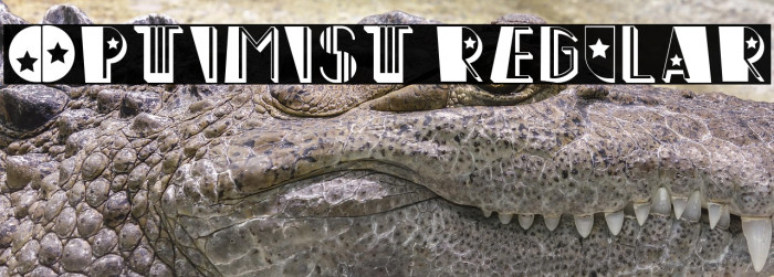 Optimist Regular Example 1