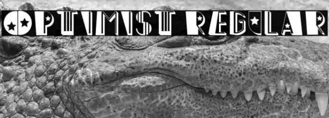 Optimist Regular Schriftart examples